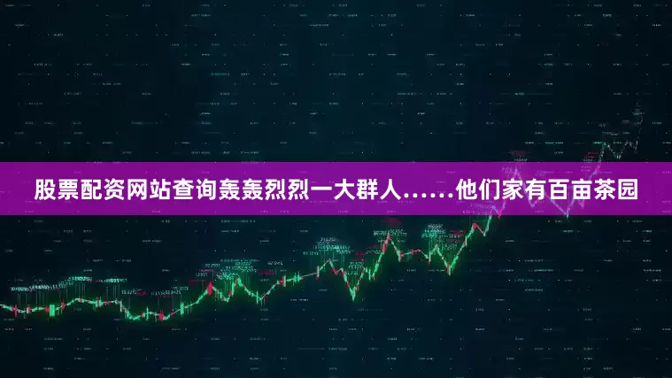 股票配资网站查询轰轰烈烈一大群人……他们家有百亩茶园