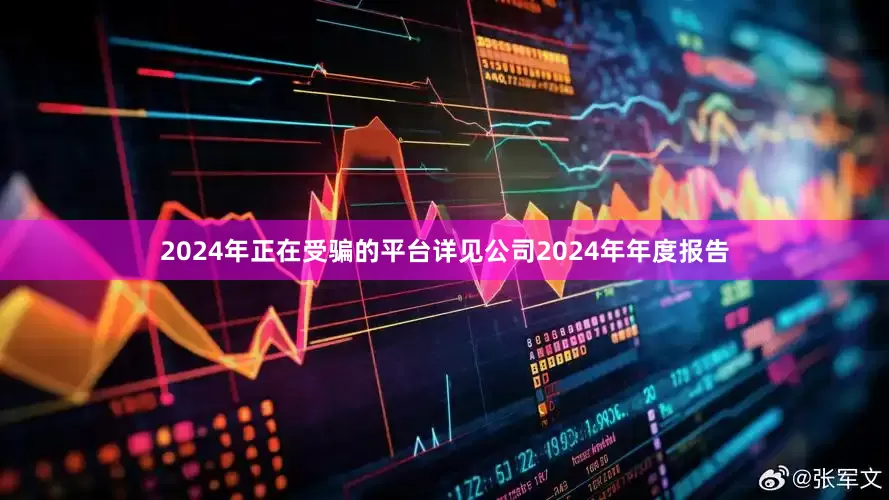 2024年正在受骗的平台详见公司2024年年度报告